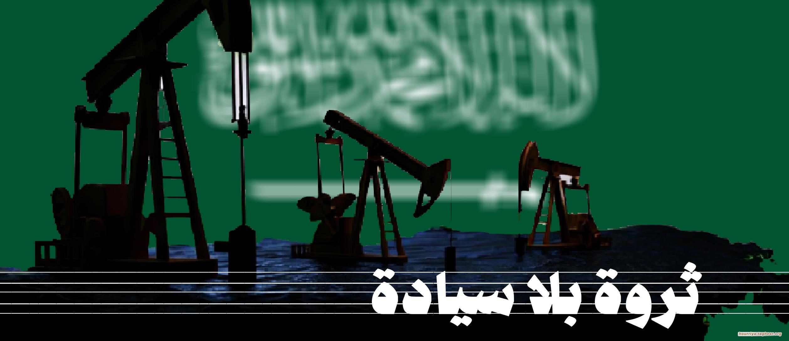 ثروة بلا سيادة